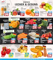Aktueller HIT Prospekt mit Paprika, "ECHTE VIELFALT", Seite 2