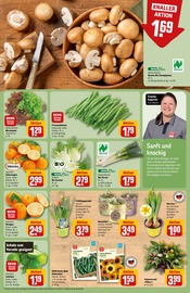 Kartoffeln im REWE Prospekt in Leinfelden-Echterdingen Aktueller REWE Prospekt mit Kartoffeln, "Dein Markt", Seite 9