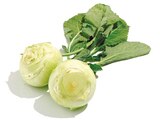 Kohlrabi im Netto mit dem Scottie Prospekt Kohlrabi im aktuellen Netto mit dem Scottie Prospekt für 0,35 €