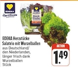 EDEKA Bannewitz - Salattrio mit Wurzelballen Angebot im Prospekt Salattrio mit Wurzelballen bei EDEKA im Bannewitz Prospekt für 1,49 €