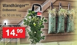 Aktuelle Erdbeeren Angebote bei Zimmermann in Bremen Aktuelles Wandhänger Erdbeeren Angebot bei Zimmermann in Bremen ab 14,99 €