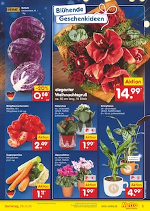 Blumen im Netto Marken-Discount Prospekt "Aktuelle Angebote" mit 50 Seiten (Freiburg (Breisgau))