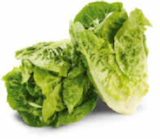 Netto Marken-Discount Pfinztal Prospekt mit  im Angebot für 0,65 €
