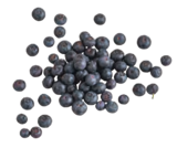 Bio-Heidelbeeren im aktuellen tegut Prospekt für 3,99 €