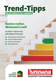 Hornung Prospekt: "Trend-Tipps FÜR DIE ENERGETISCHE SANIERUNG", 13 Seiten, 14.02.2025 - 23.02.2025