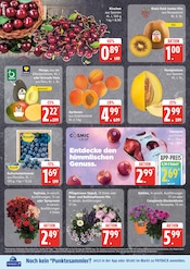 Mango im EDEKA Prospekt in Lüneburg Aktueller EDEKA Prospekt mit Mango, "Top Angebote", Seite 6