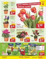 Aktueller Netto Marken-Discount Prospekt mit Garten, "Aktuelle Angebote", Seite 21