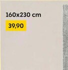 Aktuelles Einfarbige Teppiche Angebot bei Rusta in Jena ab 39,90 €