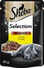 Katzennassfutter im Angebot bei GLOBUS in Gera Katzennassfutter Angebote von Sheba bei GLOBUS Gera für 0,49 €