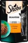 Katzen Nassnahrung Angebote von Sheba bei EDEKA Buxtehude für 0,49 €
