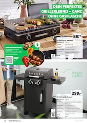 Aktueller Hagebaumarkt Prospekt mit Elektrogrill, "Grillen", Seite 10