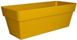 Jardinière cocoripot - CHAPELU FRERES - Truffaut à Amiens Jardinière cocoripot - CHAPELU FRERES en promo chez Truffaut Amiens à 5,99 €