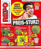 Stauden im Repo Prospekt in Salzgitter Aktueller Repo Prospekt mit Stauden, "Aktuelle Angebote", Seite 1