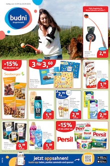 budni Prospekt Quickborn "drogeriemarkt" mit 10 Seiten