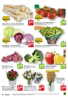 Paprika im E center Prospekt "Aktuelle Angebote" mit 48 Seiten (Offenbach (Main))