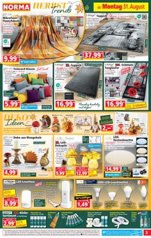 Teppichboden im Norma Prospekt "Mehr fürs Geld" mit 28 Seiten (Heidelberg)