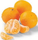 Angebot im Netto Marken-Discount Neustrelitz Prospekt Netto Marken-Discount Neustrelitz Prospekt mit im Angebot für 1,99 €