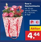 Rose in Geschenktasche bei Netto Marken-Discount im Raschau Prospekt für 4,44 €