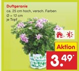Aktuelle Geranien Angebote bei Netto Marken-Discount in Mülheim (Ruhr) Aktuelles Duftgeranie Angebot bei Netto Marken-Discount in Mülheim (Ruhr) ab 3,49 €