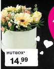 HUTBOX Angebote bei E center Frankfurt für 14,99 €