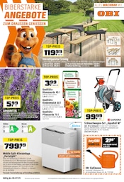OBI Baumarkt Prospekt der aktuellen Woche mit 20 Seiten, gültig von 28.06.2025 bis 05.07.2025, in Velburg und Umgebung Aktueller OBI Baumarkt Prospekt in Velburg und Umgebung, "BIBERSTARKE ANGEBOTE" mit 20 Seiten, 28.06.2025 - 05.07.2025