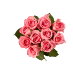 Vos bouquets préférés en promo chez Lidl Rennes à 1,99 €