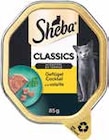 Katzennahrung im Angebot bei V-Markt in Augsburg Katzennahrung Angebote von Sheba bei V-Markt Augsburg für 0,44 €