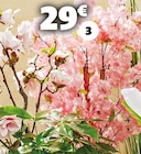 Cerisier japonais dans le catalogue Gifi