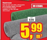 Kunstrasen Angebote bei Wülker Deco-Point Bad Salzuflen für 5,99 €
