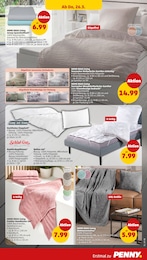 Kuscheldecke Angebot im aktuellen Penny Prospekt auf Seite 33