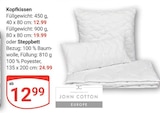 Aktuelle Kissen Angebote bei GLOBUS in Salzgitter Aktuelles Kopfkissen Angebot bei GLOBUS in Salzgitter ab 12,99 €