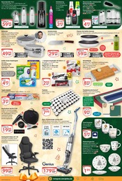 Teller im GLOBUS Prospekt in Hoyerswerda Aktueller GLOBUS Prospekt mit Teller, "Aktuelle Angebote", Seite 4