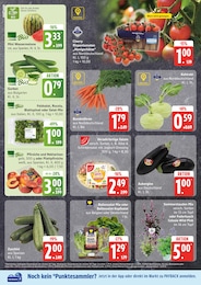 Pflanzen Angebot im aktuellen EDEKA Prospekt auf Seite 2