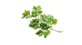 Rinderbraten Hals/Hohe Rippe im Angebot bei Kaufland in Singen Rinderbraten Hals/Hohe Rippe Angebote von K-PURLAND bei Kaufland Singen für 14,99 €