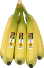 Bananen im Angebot bei EDEKA in Buchholz Bananen Angebote von Gut & Günstig bei EDEKA Buchholz für 1,00 €