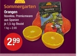 Orangen bei V-Markt im Thannhausen Prospekt für 2,99 €