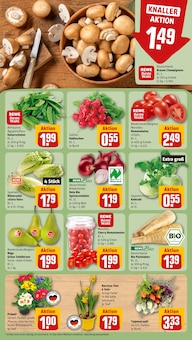 Blumen im REWE Prospekt "Dein Markt" mit 20 Seiten (Darmstadt)