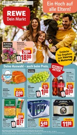 Aktueller REWE Supermarkt Prospekt in Passau und Umgebung, "Dein Markt" mit 28 Seiten, 06.05.2024 - 11.05.2024