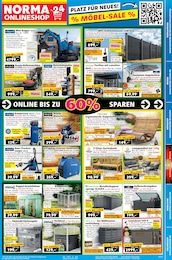 Blumentopf Angebot im aktuellen Norma Prospekt auf Seite 19