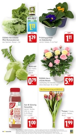 Aktueller EDEKA Prospekt mit Gemüse, "Aktuelle Angebote", Seite 9
