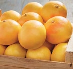 Intermarché La Gorgue - Promo Pomelo de Corse Bio à chair rouge Promo Pomelo de Corse Bio à chair rouge à 1,78 € dans le catalogue Intermarché à La Gorgue