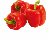 Paprika rot Angebote von Markttag bei Netto Marken-Discount Nürtingen für 1,69 €