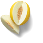 Melone im Kaufland Prospekt Span./ital. Honigmelone im aktuellen Kaufland Prospekt für 1,99 €