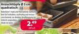 Aktuelles Anzuchttöpfe Ø 5 cm quadratisch Angebot bei Kiebitzmarkt in Paderborn ab 2,49 €