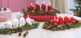 Adventsgesteck mit 4 Kerzen im Angebot bei toom Baumarkt in Bergisch Gladbach Adventsgesteck mit 4 Kerzen Angebote bei toom Baumarkt Bergisch Gladbach für 22,99 €