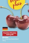 combi Oldenburg Prospekt mit  im Angebot für 