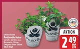 Freilandkräuter für 2,49 € bei EDEKA im Angebot Freilandkräuter im aktuellen EDEKA Prospekt