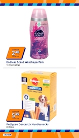 Hundefutter im Action Prospekt in Ravensburg Aktueller Action Prospekt mit Hundefutter, "Wochenangebote", Seite 4