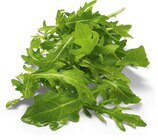 Netto Marken-Discount - Rucola Angebot im Prospekt Rucola bei Netto Marken-Discount im Prospekt "" für 0,88 €
