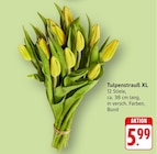 Tulpenstrauß XL bei EDEKA im Schiltach Prospekt für 5,99 €